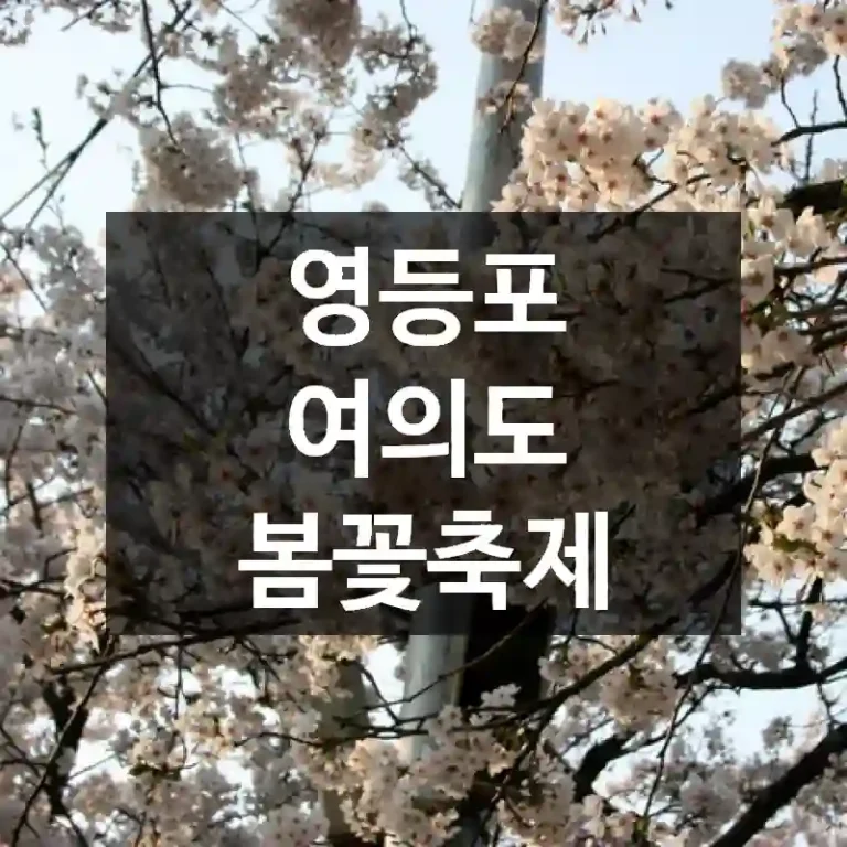 영등포 여의도 봄꽃축제