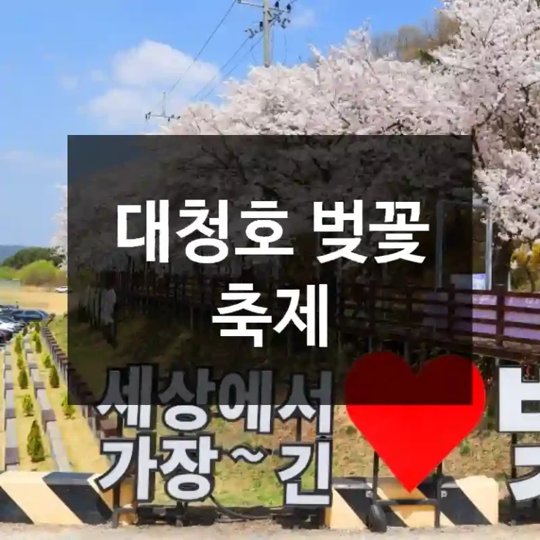 대청호 벚꽃 축제